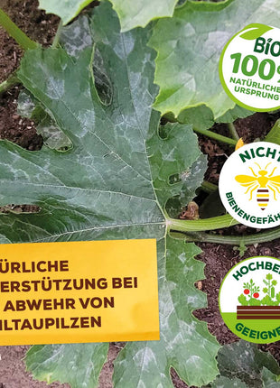 Solabiol Grundstoff Lecithin Konzentrat 800 ml