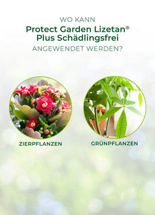 Lizetan Plus Schädlingsfrei Konzentrat Blattläuse Weiße Fliege Schildläuse