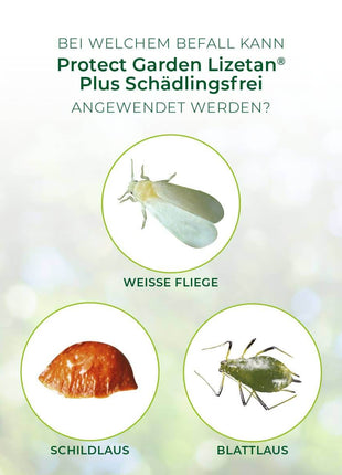 Lizetan Plus Schädlingsfrei Konzentrat Blattläuse Weiße Fliege Schildläuse