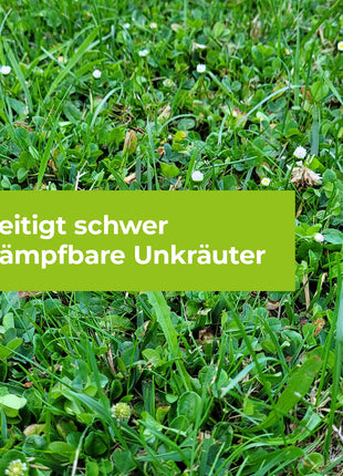 Loredo Quattro Universal-Rasenunkrautfrei für400 m² 400 ml