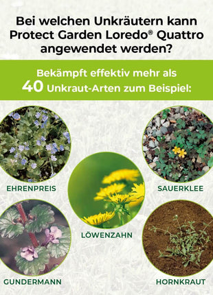 Loredo Quattro Universal-Rasenunkrautfrei 100 ml für 100 m²
