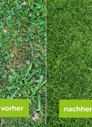 Loredo Quattro Universal-Rasenunkrautfrei von 100m²-400m²