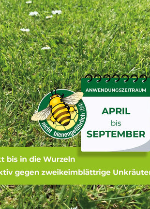 Loredo Quattro Universal-Rasenunkrautfrei 100 ml für 100 m²