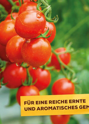 Solabiol  SolabiolTomatendünger gesunde kräftige Pflanzen