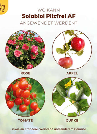 Solabiol Pilzfrei AF 750 ml anwendungsfertig