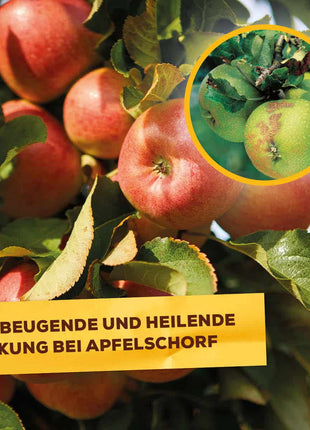 Solabiol Pilzfrei AF 750 ml anwendungsfertig
