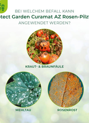 Curamat AZ Rosen-Pilzfrei vorbeugend und heilend