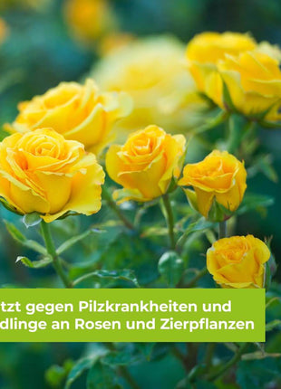 Protect Garden Rosen Kombi-Set Rundumschutz für Rosen und Zierpflanzen 130 ml