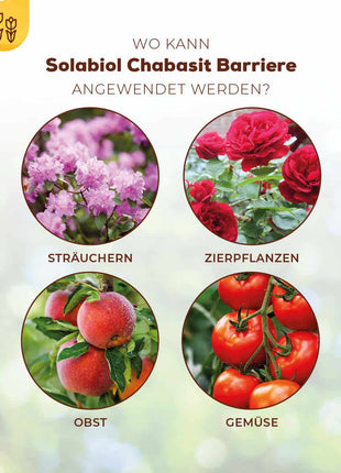 Solabiol Chabasit Barriere 400 g