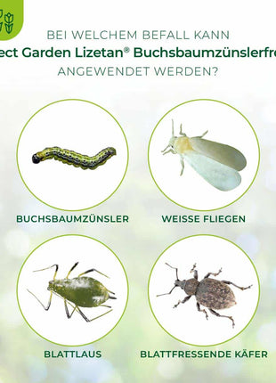 Protect Garden Lizetan Buchsbaumzünslerfrei AF 1000 ml