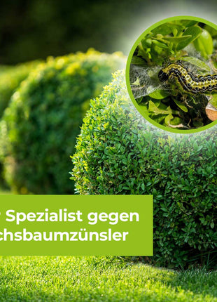 Protect Garden Lizetan Buchsbaumzünslerfrei AF 1000 ml