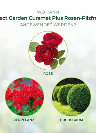 Curamat Plus Rosen Pilzfrei AF 1000 ml