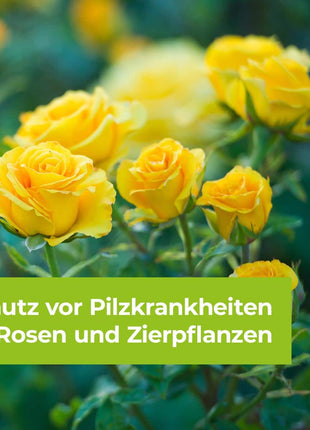 Curamat Plus Rosen Pilzfrei AF 1000 ml