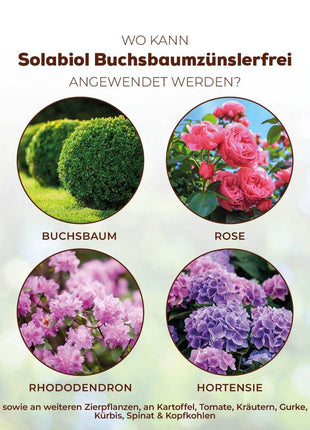 Solabiol Buchsbaumzünslerfrei 50 ml Fraßstopp