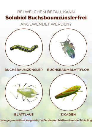 Solabiol Buchsbaumzünslerfrei 50 ml Fraßstopp