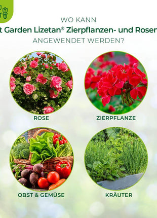 Lizetan Zierpflanzen- & Rosen-Spray von 500 ml-750 ml