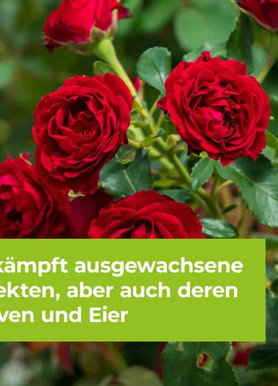 Lizetan Zierpflanzen- & Rosen-Spray von 500 ml-750 ml