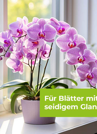 Lizetan Orchideen-Spray AF 500 ml saugende Schädlinge