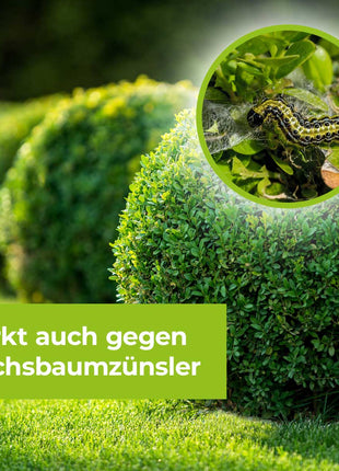 Lizetan AZ Schädlingsfrei 30 ml für bis zu 10 L  Spritzmittel