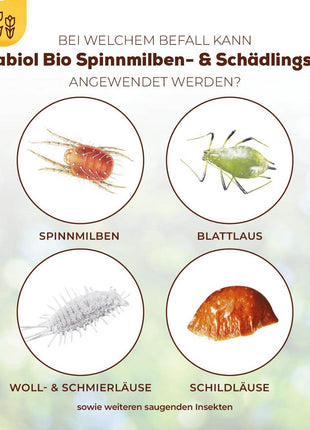 Solabiol Bio Spinnmilben- & Schädlingsfrei 250 ml